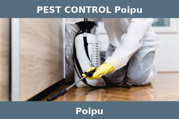 PEST CONTROL Poipu